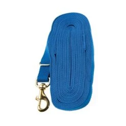 Kincade Lunge Line - Blue