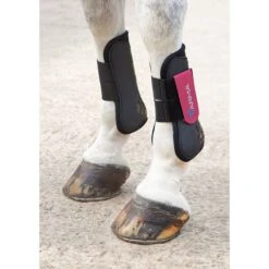 Shires ARMA Tendon Boots - Black/Raspberry