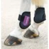 Shires ARMA Fetlock Boots - Black/Plum -The Horse Essentials 312204 800 800