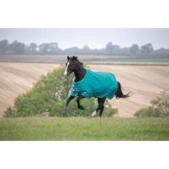 Shires Tempest Plus 200G Turnout - Teal