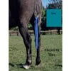 Jammies Tail Bag - Teal -The Horse Essentials 401242 800 800