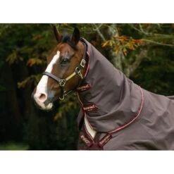 Amigo Hood 0g - Brown/Red/Gold/Red