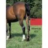 Jammies Three Piece Tail Wrap - Red -The Horse Essentials 408118 800 800