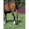 Jammies Three Piece Tail Wrap - Pink Shimmer -The Horse Essentials 409214 800 800