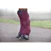 Rambo Travel Boots - Burgundy/Burgundy/Teal/Navy 1 Rambo Travel Boots - Burgundy/Burgundy/Teal/Navy -The Horse Essentials 441238 800 800