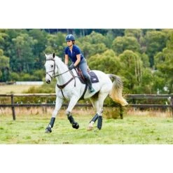 Weatherbeeta Cross Country Boots Hind - Black -The Horse Essentials 442793 800 800