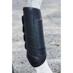 Weatherbeeta Cross Country Boots Hind - Black -The Horse Essentials 442797 800 800