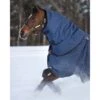 Rambo Optimo Hood 150g - Navy/Burgundy/Teal/Navy -The Horse Essentials 445818 800 800