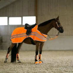 Horze Reflective Wrap Riding Sheet - Orange -The Horse Essentials 453795 800 800