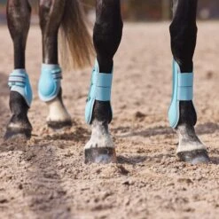 Horze Adepto Tendon Boots - Canal Blue -The Horse Essentials 454322 800 800