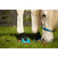 Tubbease Hoof Sock - MultiColor -The Horse Essentials 469914 800 800