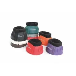 The Horse Essentials -The Horse Essentials 470486 800 800