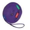 Kincade Two Tone Lunge Line With Circle Markers - Purple/Black -The Horse Essentials 474511 800 800