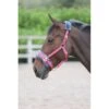 Shires Fleece Lined Lunge Cavesson - Pink -The Horse Essentials 474982 800 800