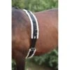 Shires Nylon Roller With Fleece Padding - Black -The Horse Essentials 477685 800 800