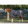 Kensington Signature Heavy Weight Turnout - Deluxe Black -The Horse Essentials 480285 800 800