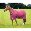 Shires Tempest Original 200 Turnout - Maroon -The Horse Essentials 553442 800 800