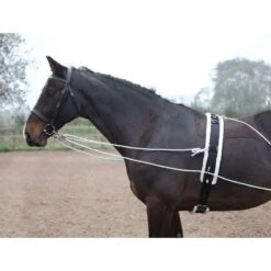 Shires Lunging Aid - Black -The Horse Essentials 553778 800 800