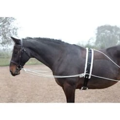 Shires Lunging Aid - Black -The Horse Essentials 553779 800 800