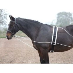 Shires Lunging Aid - Black -The Horse Essentials 553780 800 800