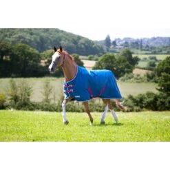 Shires Tempest Original Lite Turnout - Teal