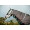 Amigo Bravo 12 Plus Disc Closure Turnout 0g - Excalibur/Aqua/Turquoise 2 Amigo Bravo 12 Plus Disc Closure Turnout 0g - Excalibur/Aqua/Turquoise -The Horse Essentials 555815 800 800