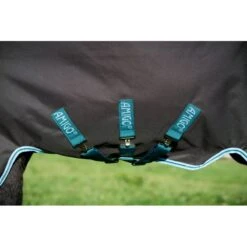 Amigo Bravo 12 Plus Disc Closure Turnout 0g - Excalibur/Aqua/Turquoise 8 Amigo Bravo 12 Plus Disc Closure Turnout 0g - Excalibur/Aqua/Turquoise -The Horse Essentials 555817 800 800