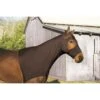 Perri's Lycra Mane Hood - Black -The Horse Essentials 672511 800 800