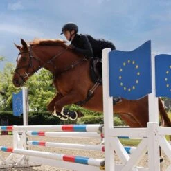 Shires ARMA OXI-ZONE Supafleece Tendon Boot - Black -The Horse Essentials 676410 800 800