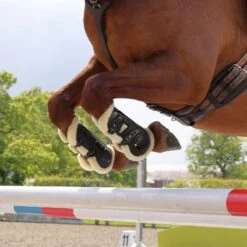 Shires ARMA OXI-ZONE Supafleece Tendon Boot - Black -The Horse Essentials 676411 800 800