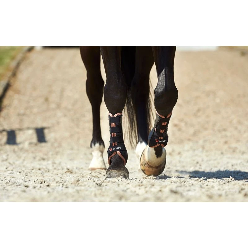 Catago FIR-Tech Elegant Dressage Boots - Brownie 4 Catago FIR-Tech Elegant Dressage Boots - Brownie - Image 2