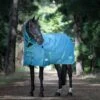 Weatherbeeta Green-Tec 900D Detach-A-Neck Medium Turnout Blanket - Dragonfly Blue/Bottle Green -The Horse Essentials 680363 800 800