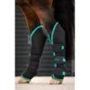 Amigo Travel Boots - Black/Teal/Dark Cherry -The Horse Essentials 680543 800 800