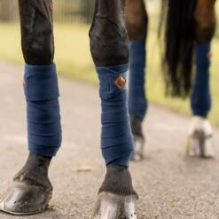 The Horse Essentials -The Horse Essentials 697102 800 800