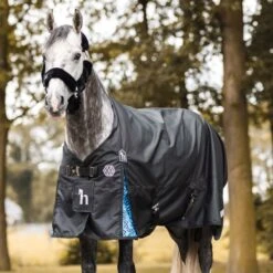 Horze Quebec 1200D Turnout Sheet - Caviar Black -The Horse Essentials 699124 800 800
