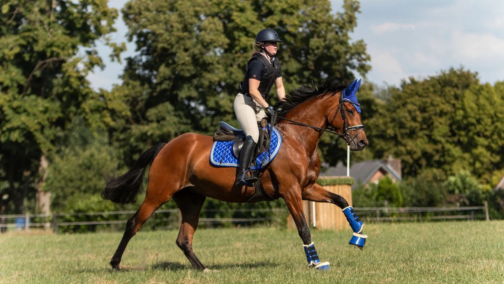 The Horse Essentials -The Horse Essentials 15 b353a5ef e8dc 48a6 9cb5